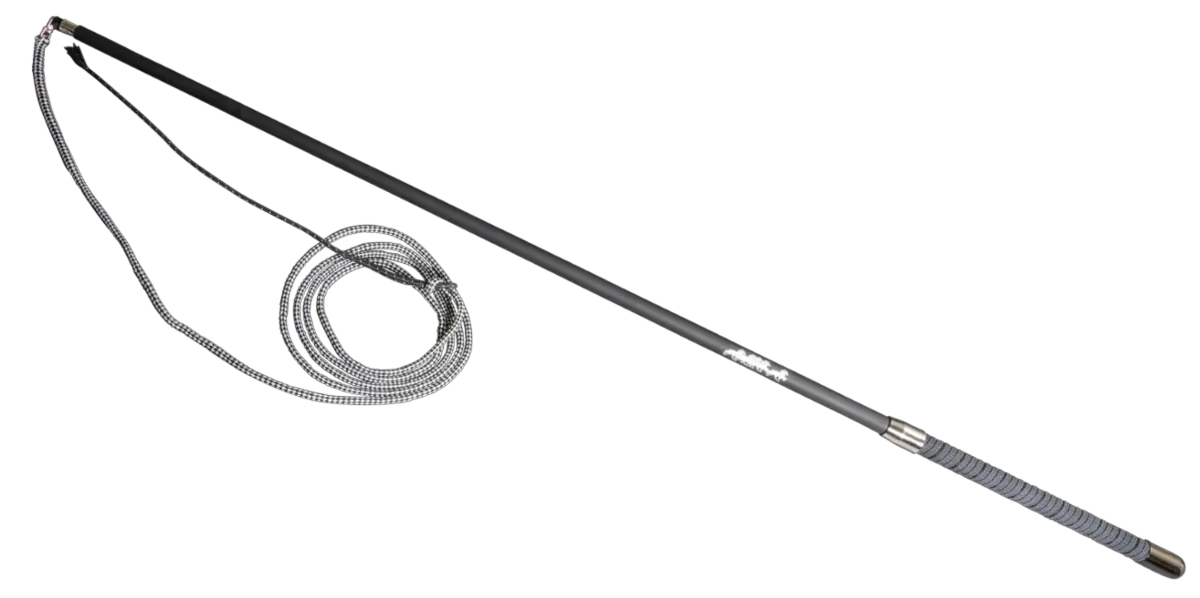 Whip PNG