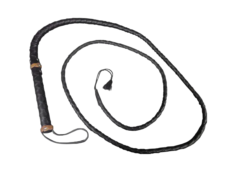 Whip PNG