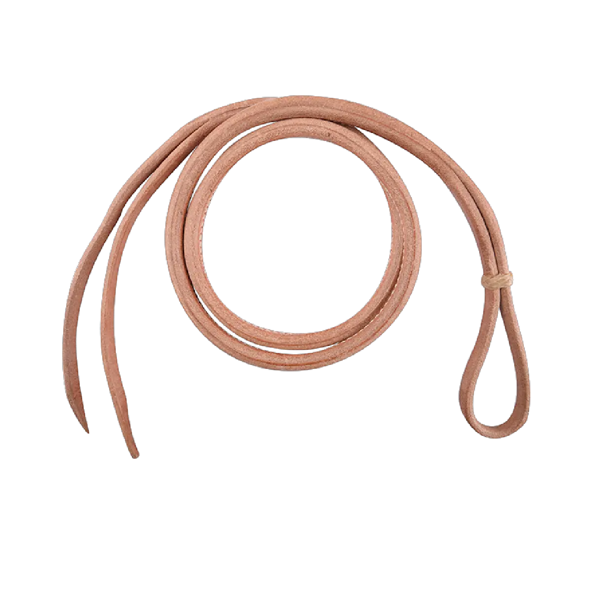 Whip PNG