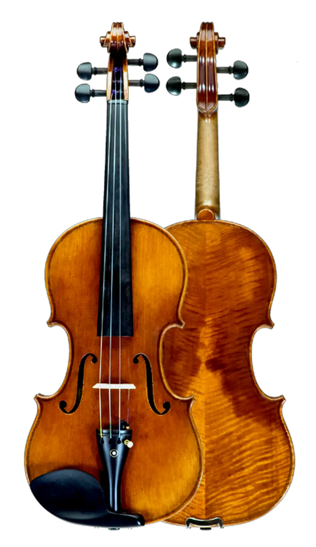 Violin PNG