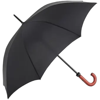 Umbrella PNG image
