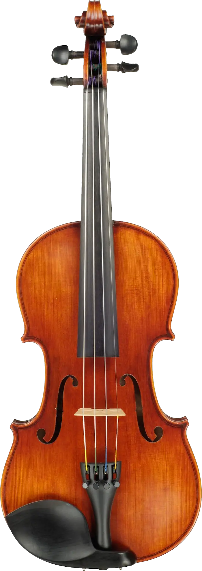 Violin PNG