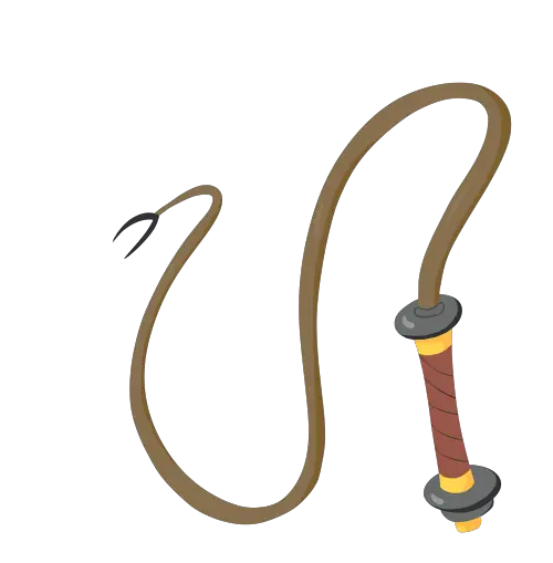 Whip PNG