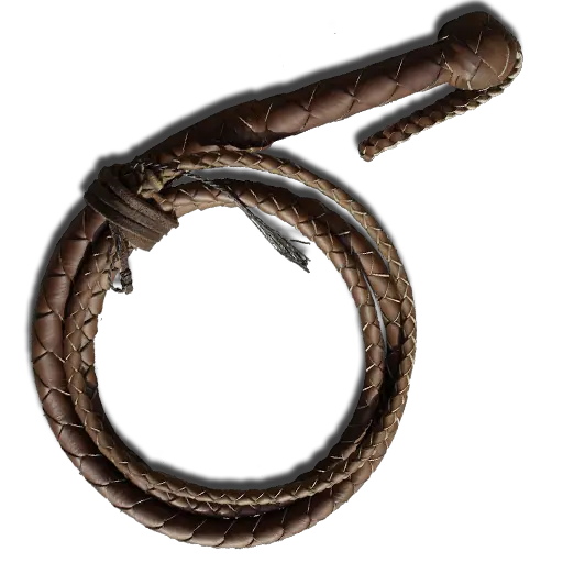 Whip PNG