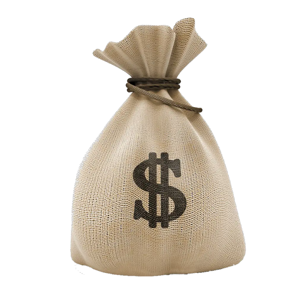 Money bag PNG image