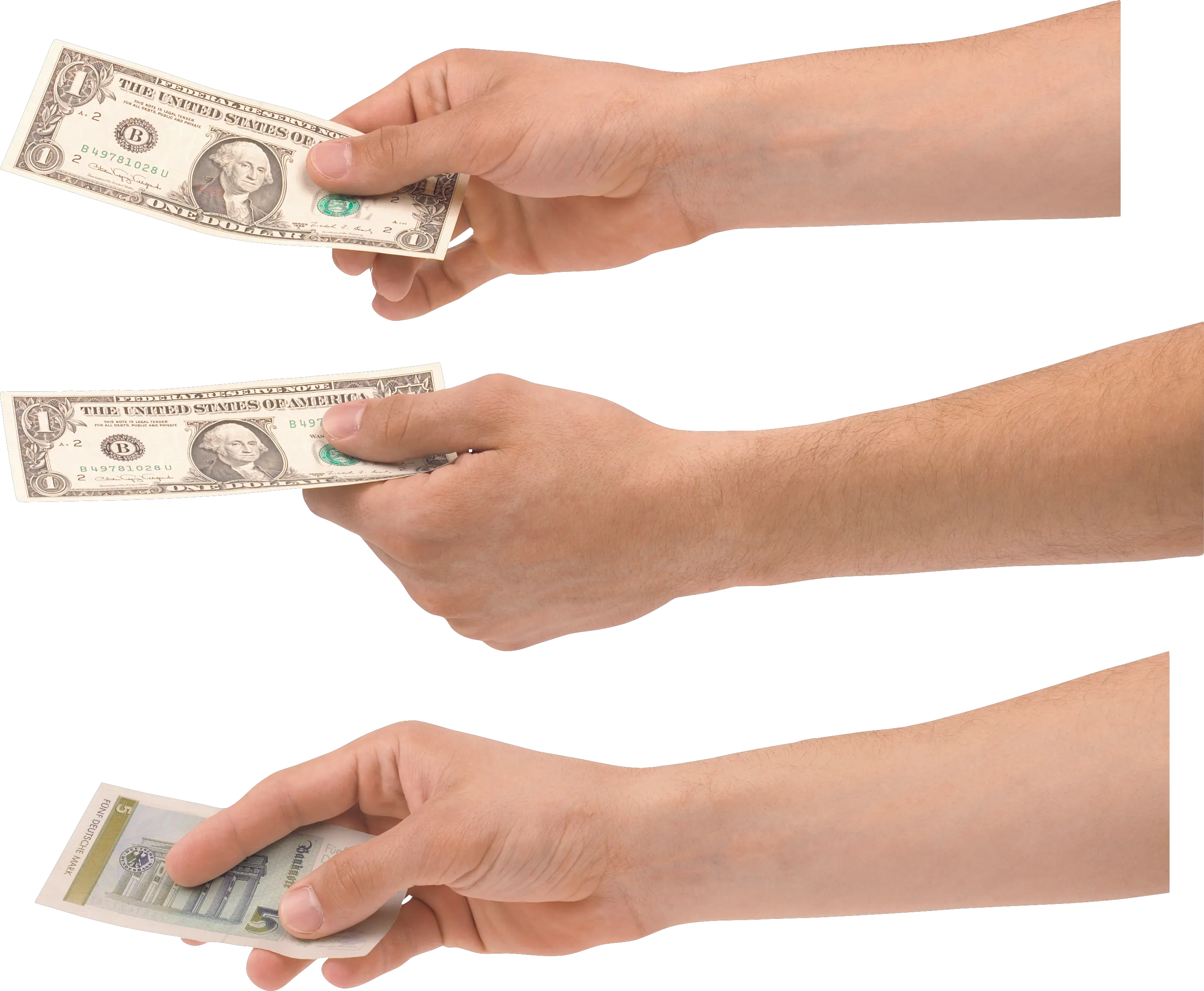 Money dollars in hand PNG image