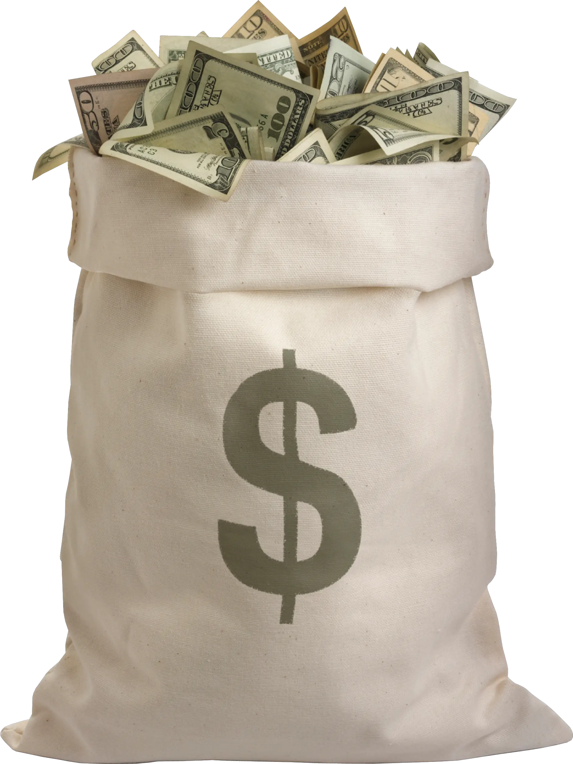 Money bag PNG image