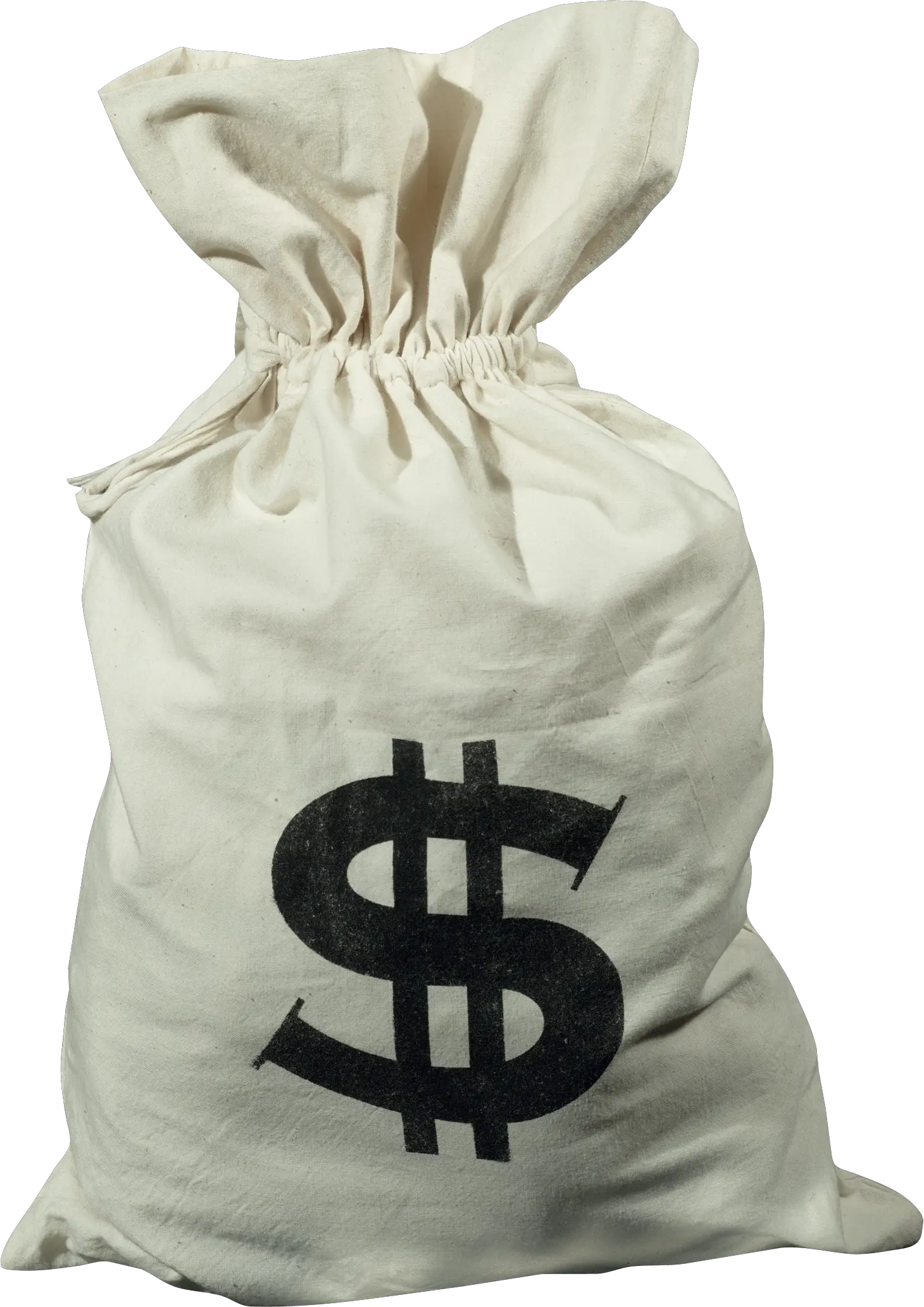 Money bag PNG image