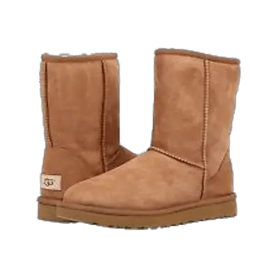 UGG boots PNG