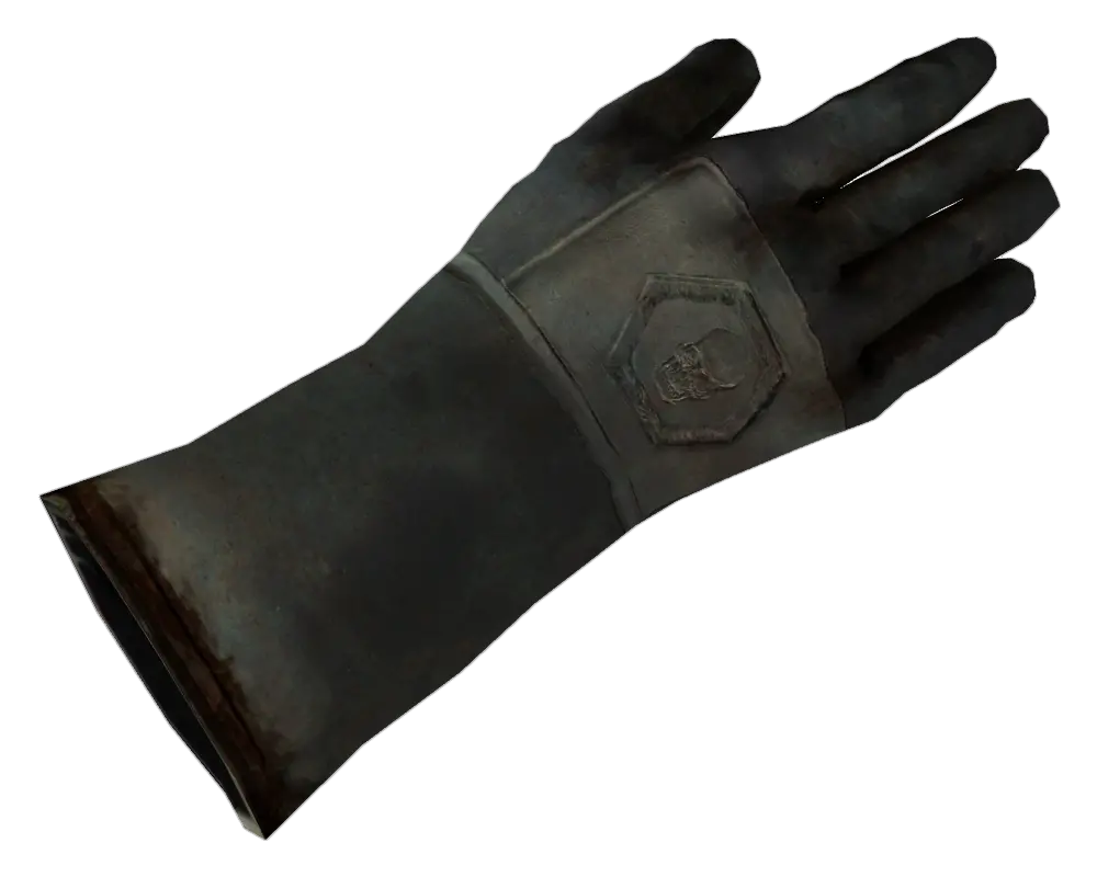 Gloves PNG