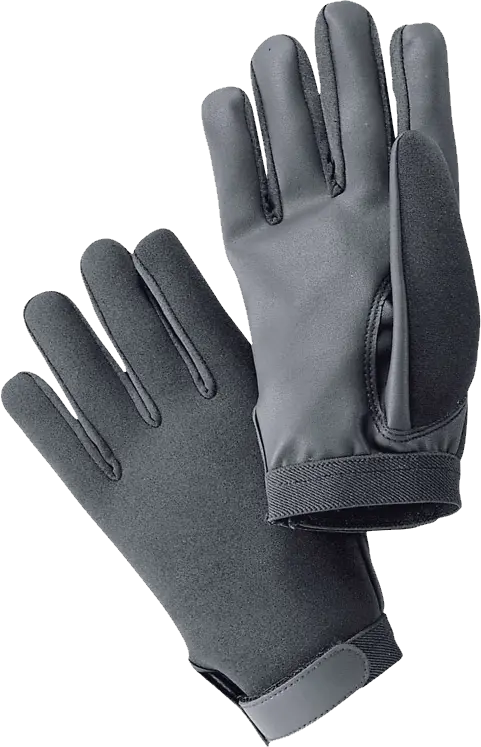 Winter gloves PNG image