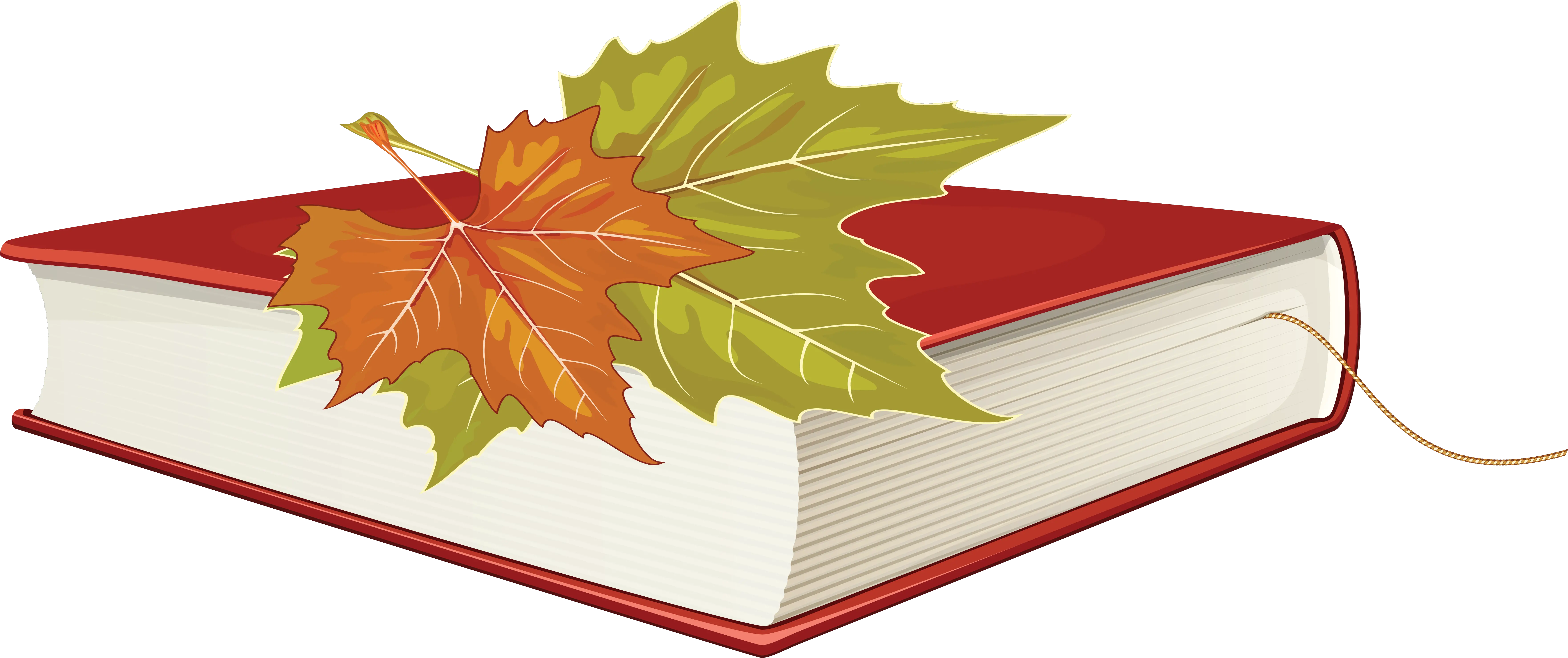 Book PNG