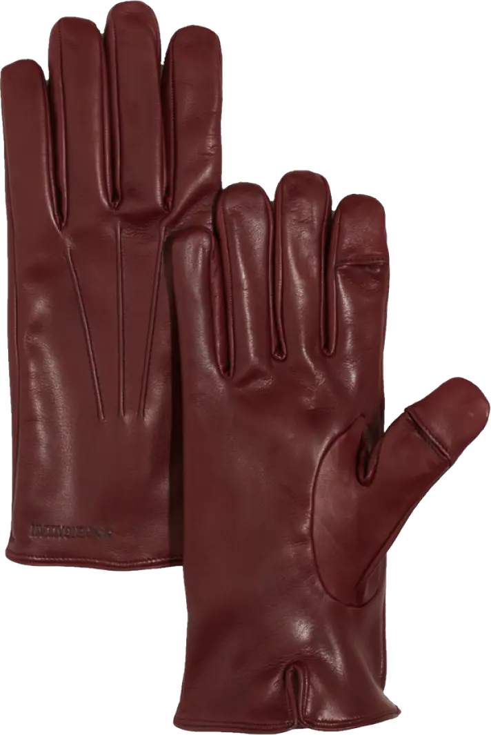 Leather gloves PNG image