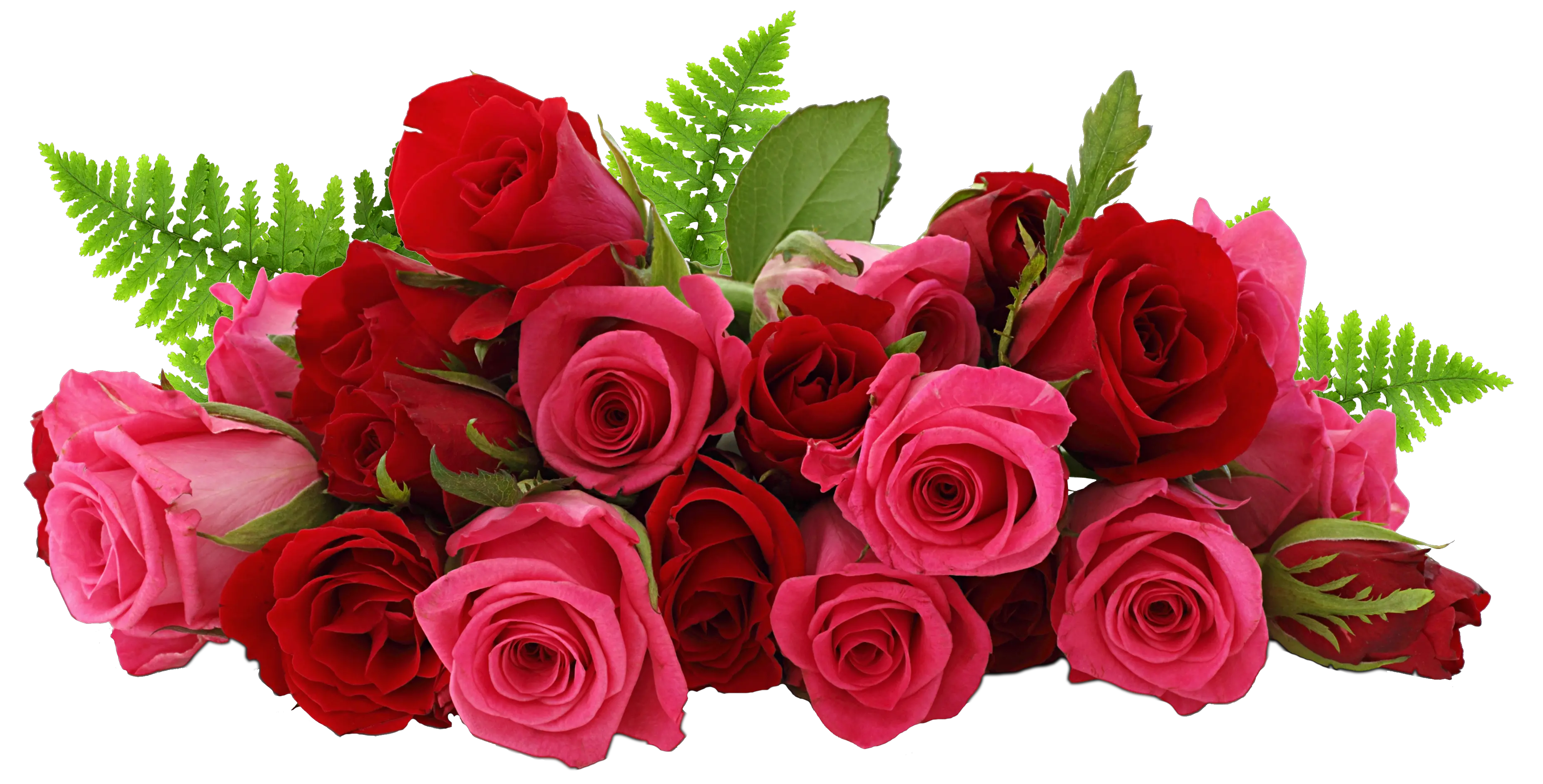 Rose PNG