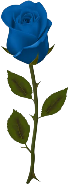Rose PNG