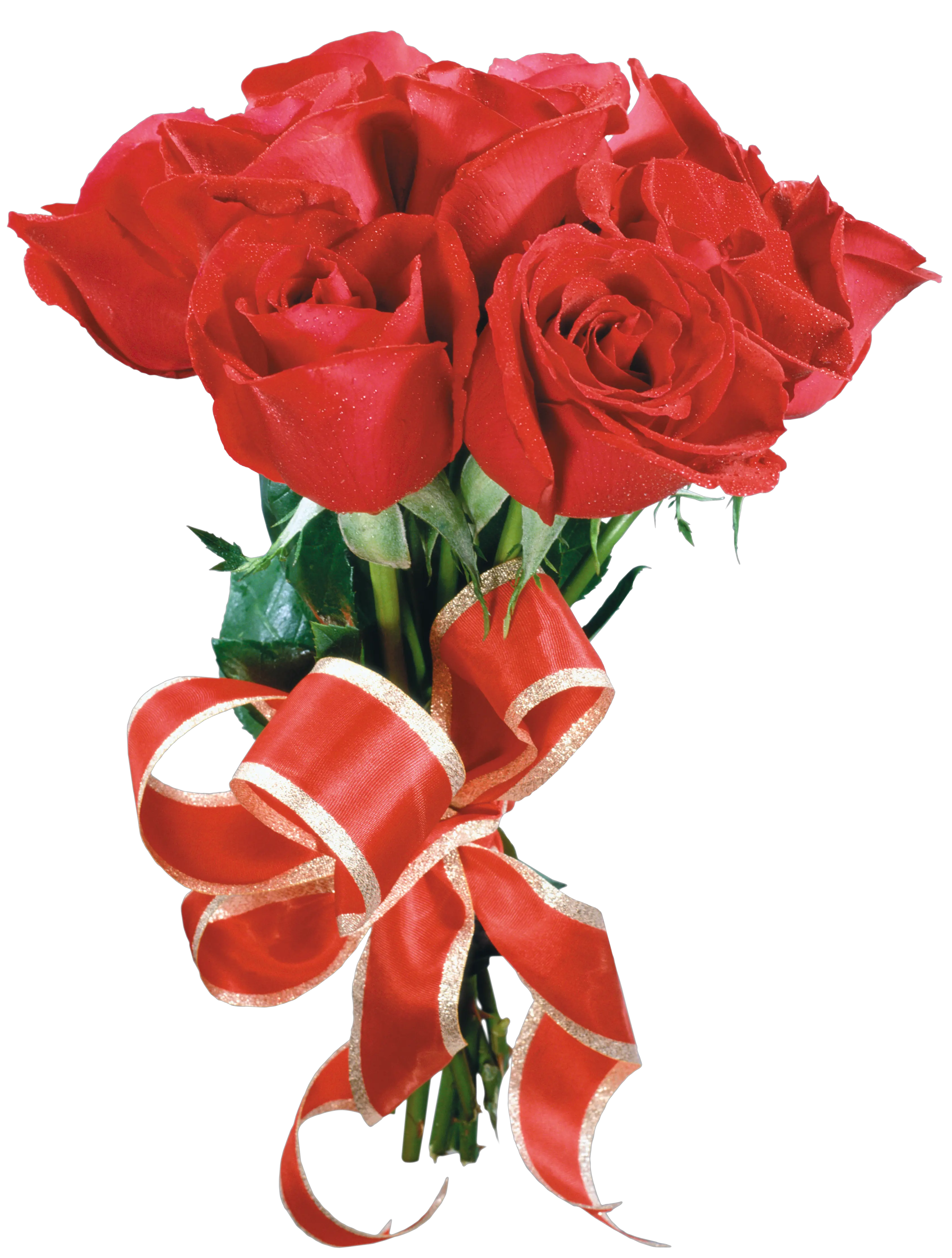 Rose PNG