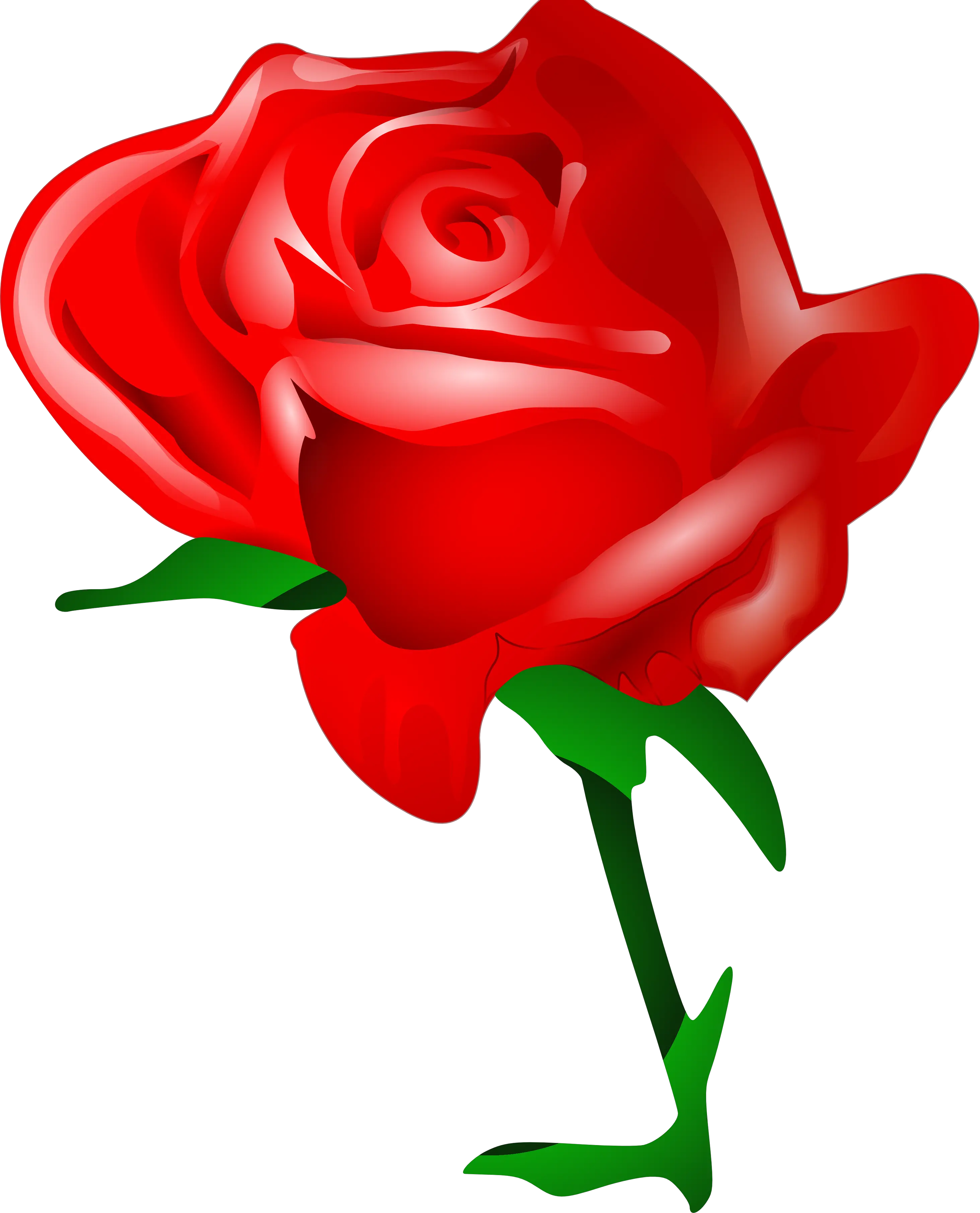 Rose png image free picture download