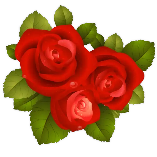 Rose PNG