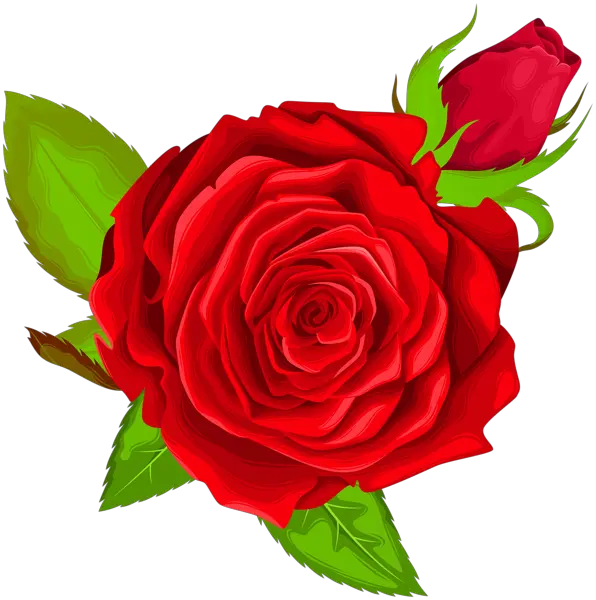 Rose PNG