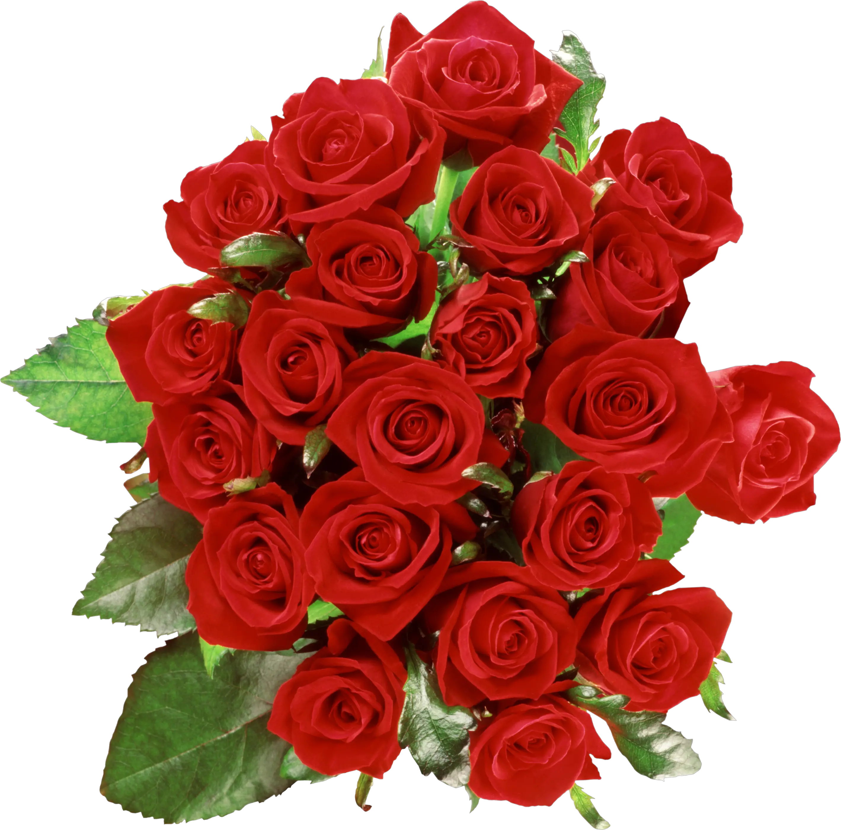 Bouquet of roses PNG image free picture download
