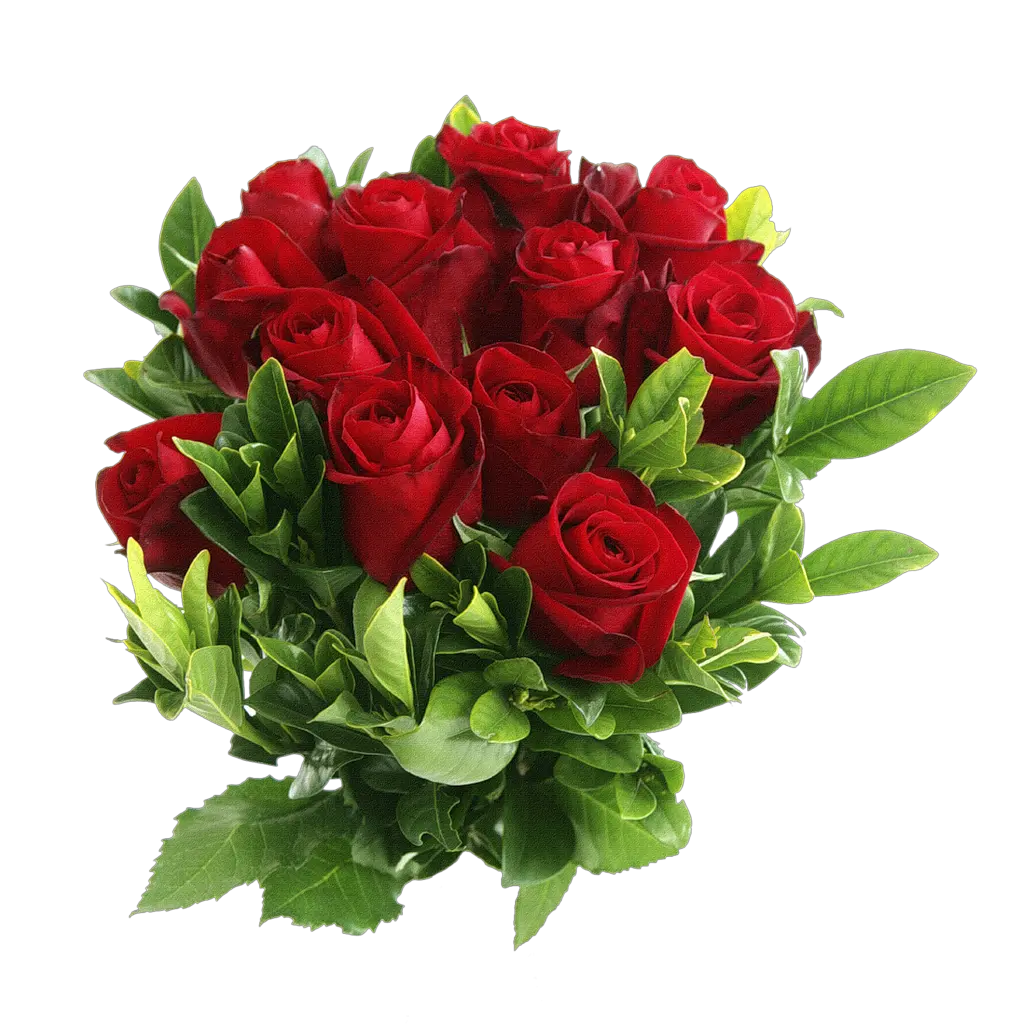 Bouquet of roses PNG image free picture download