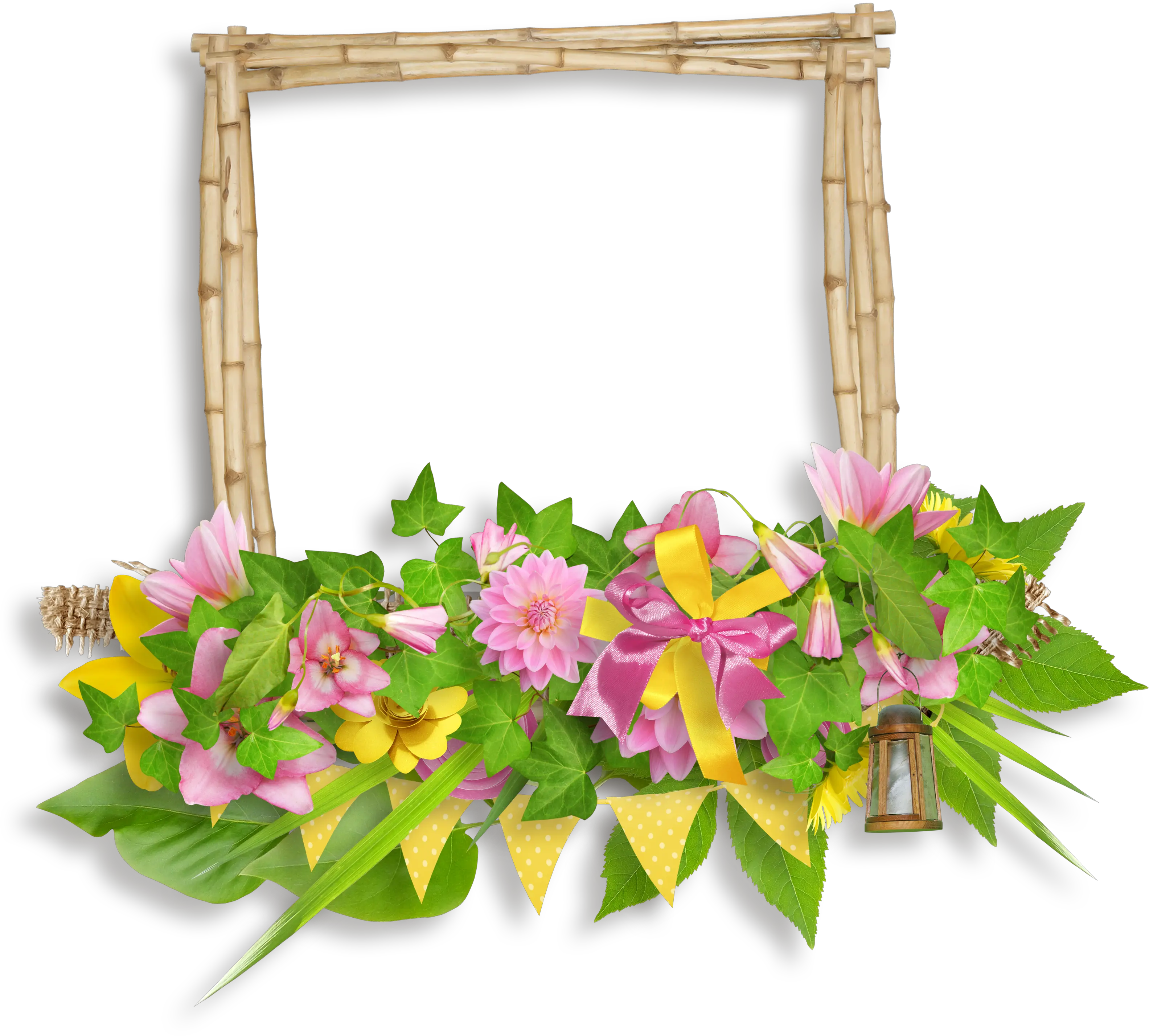 Lilium PNG