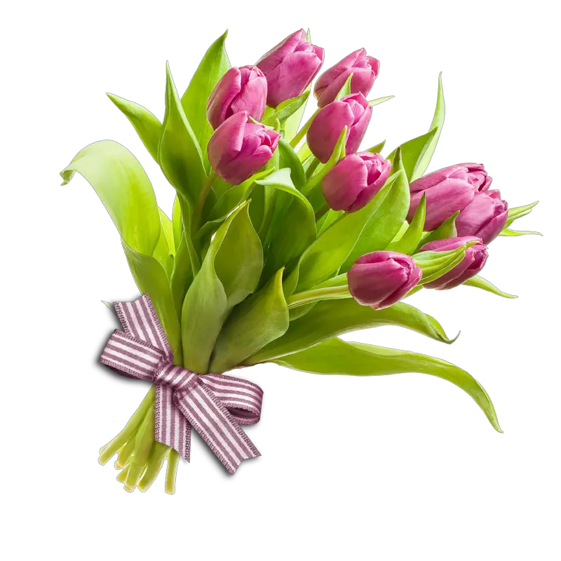 Bouquet flowers PNG
