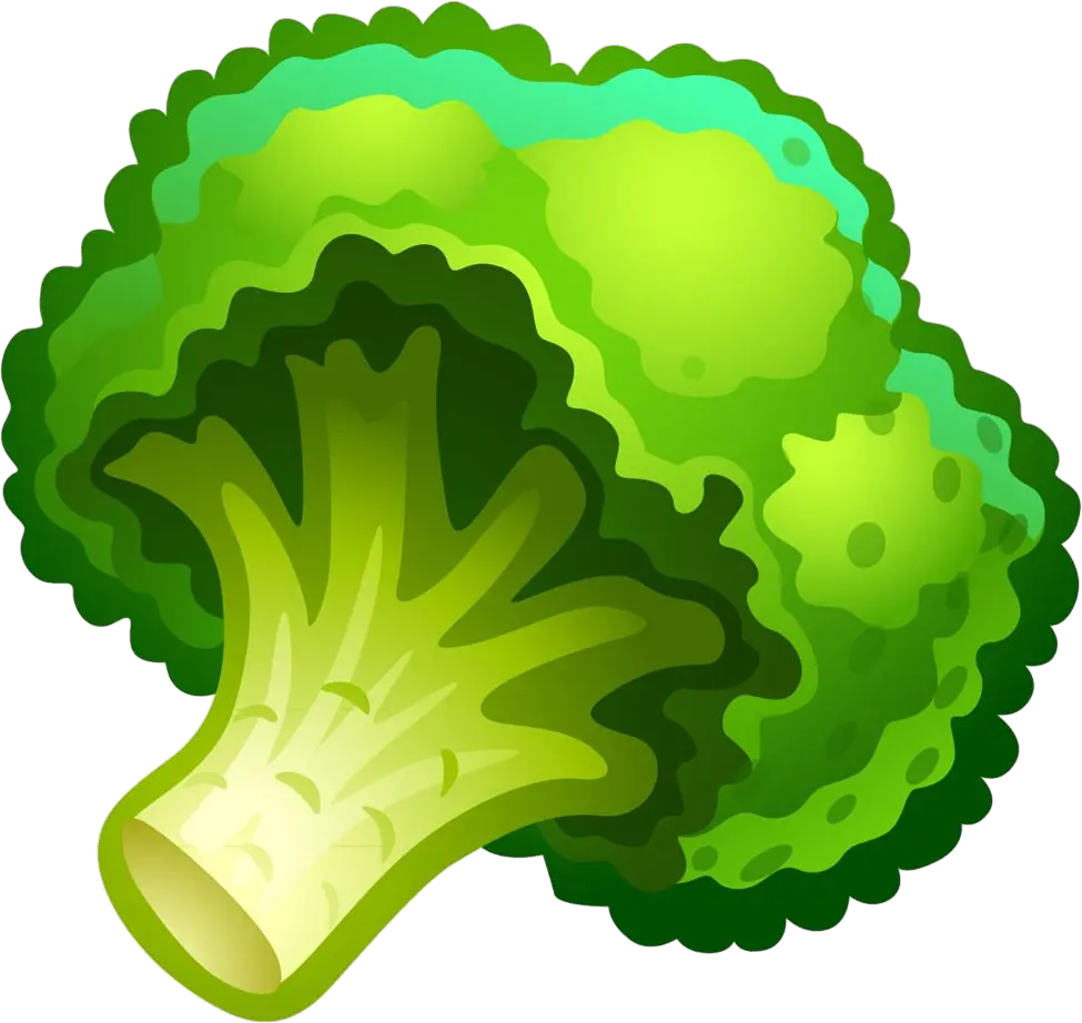 Broccoli PNG