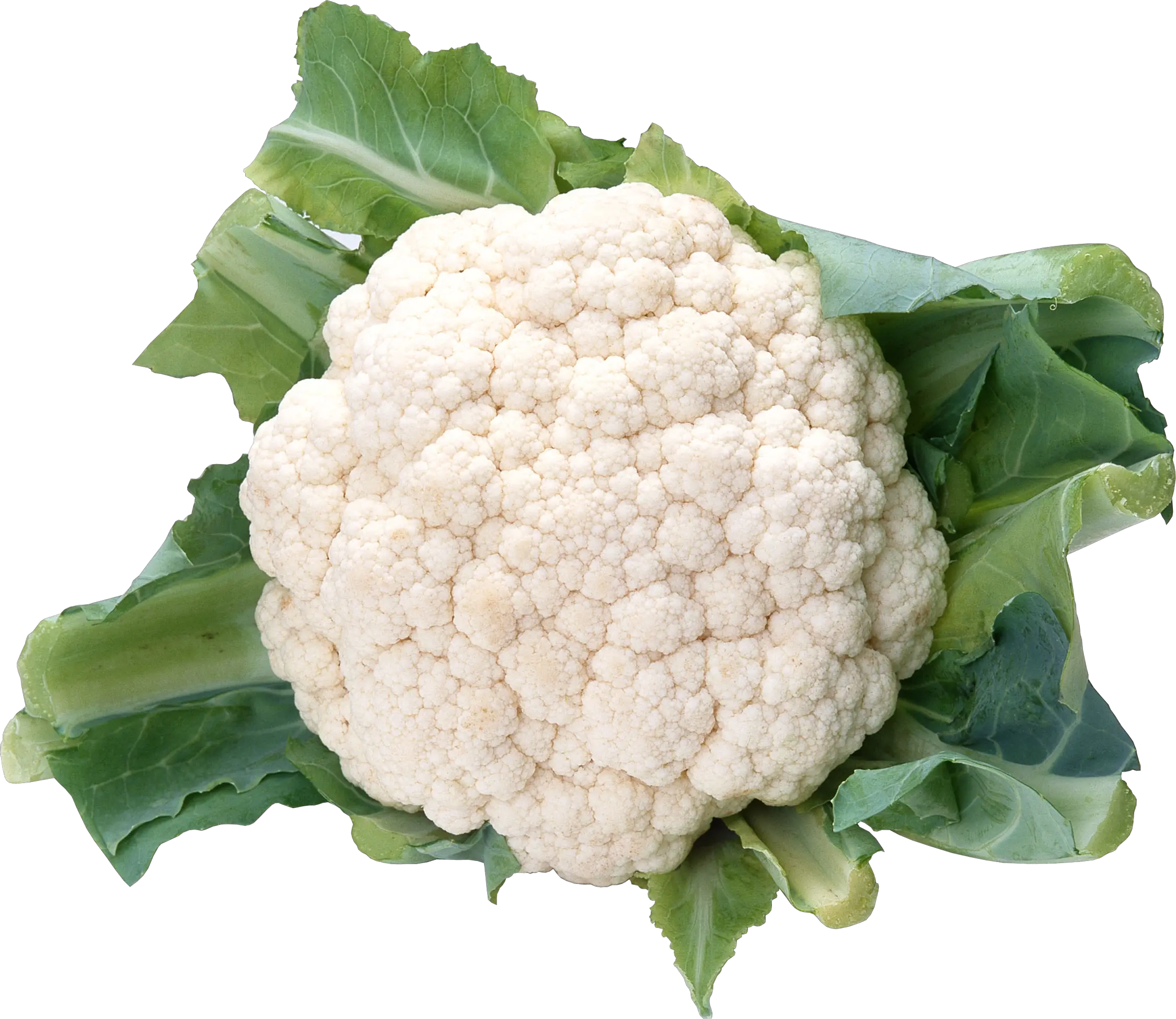 cauliflower PNG image