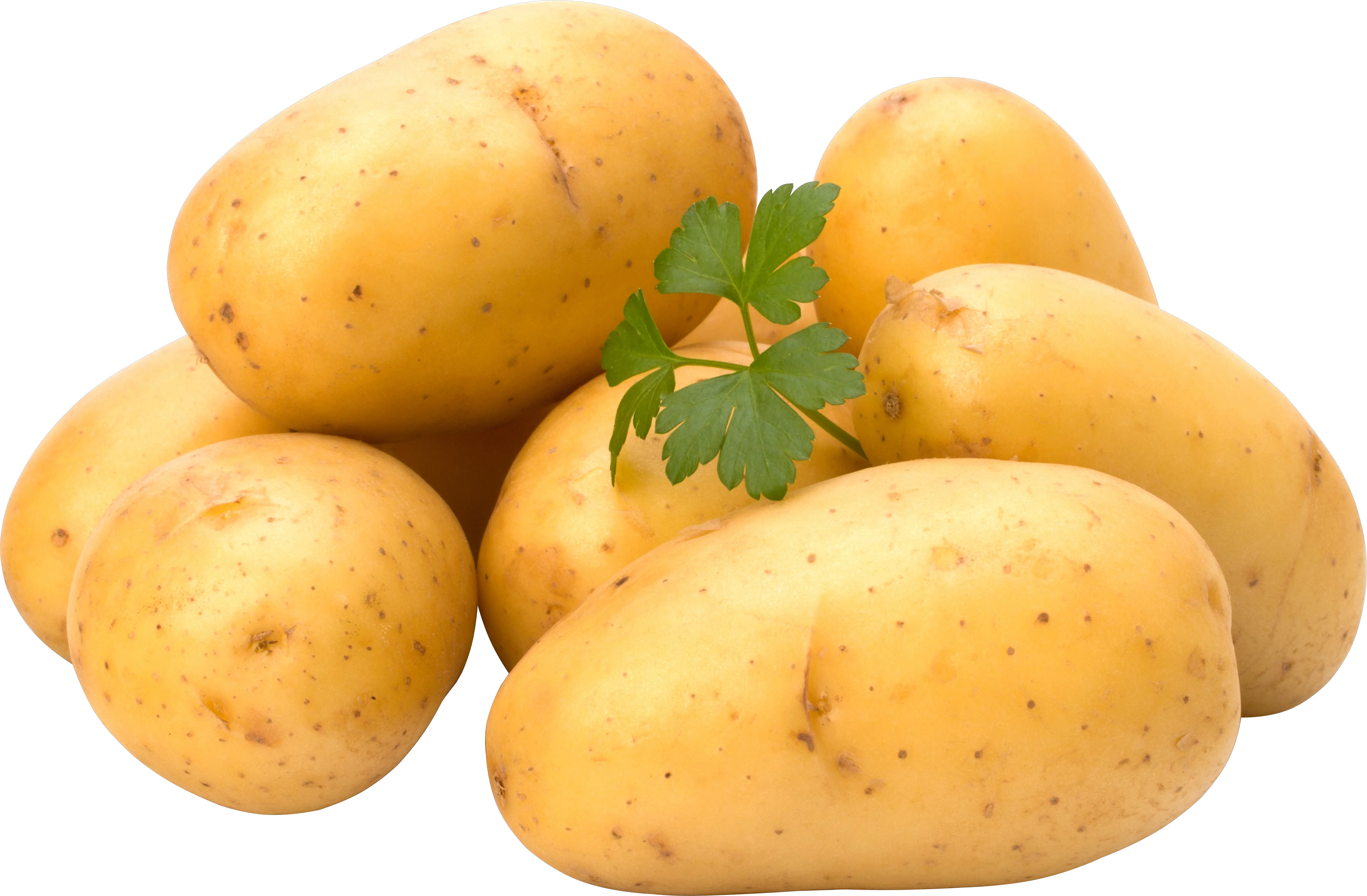 Several potatoes PNG