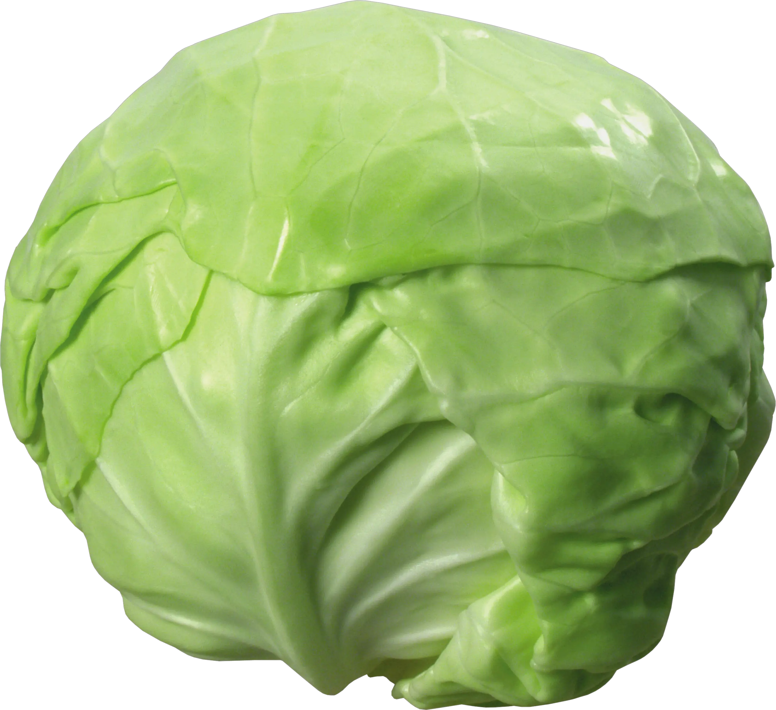 Cabbage PNG image