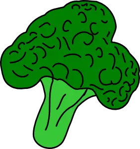 Broccoli PNG
