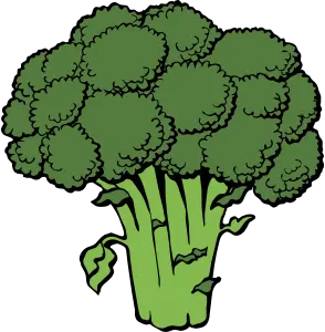 Broccoli PNG