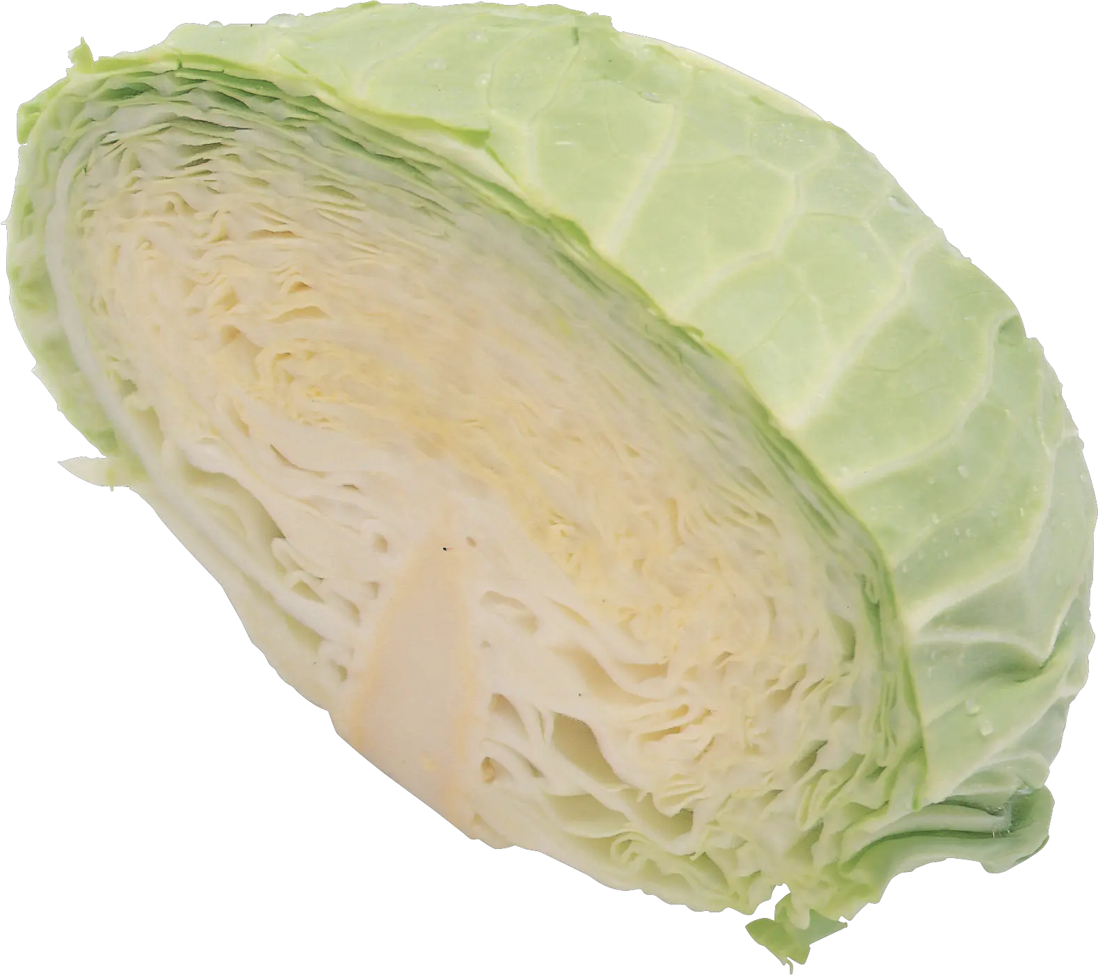Cabbage PNG