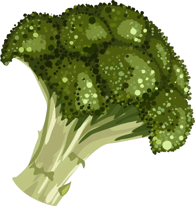 Broccoli PNG