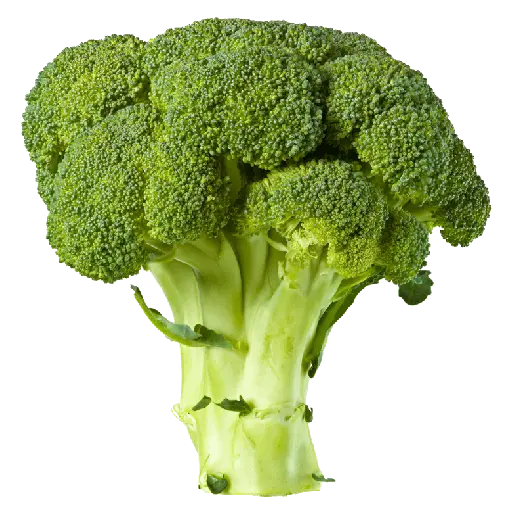 Broccoli PNG