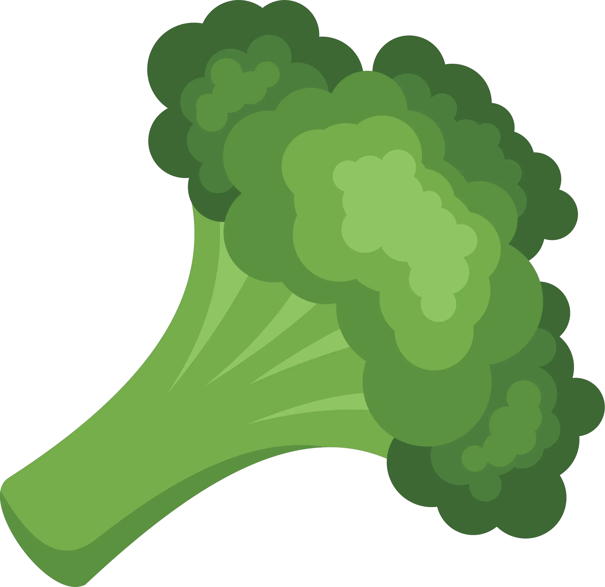 Broccoli PNG