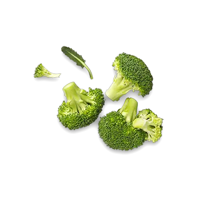Broccoli PNG