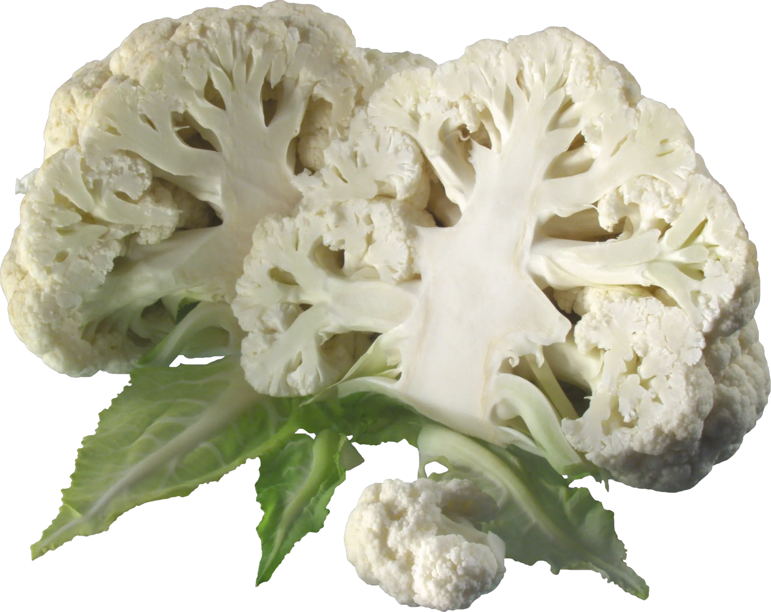 cauliflower PNG image