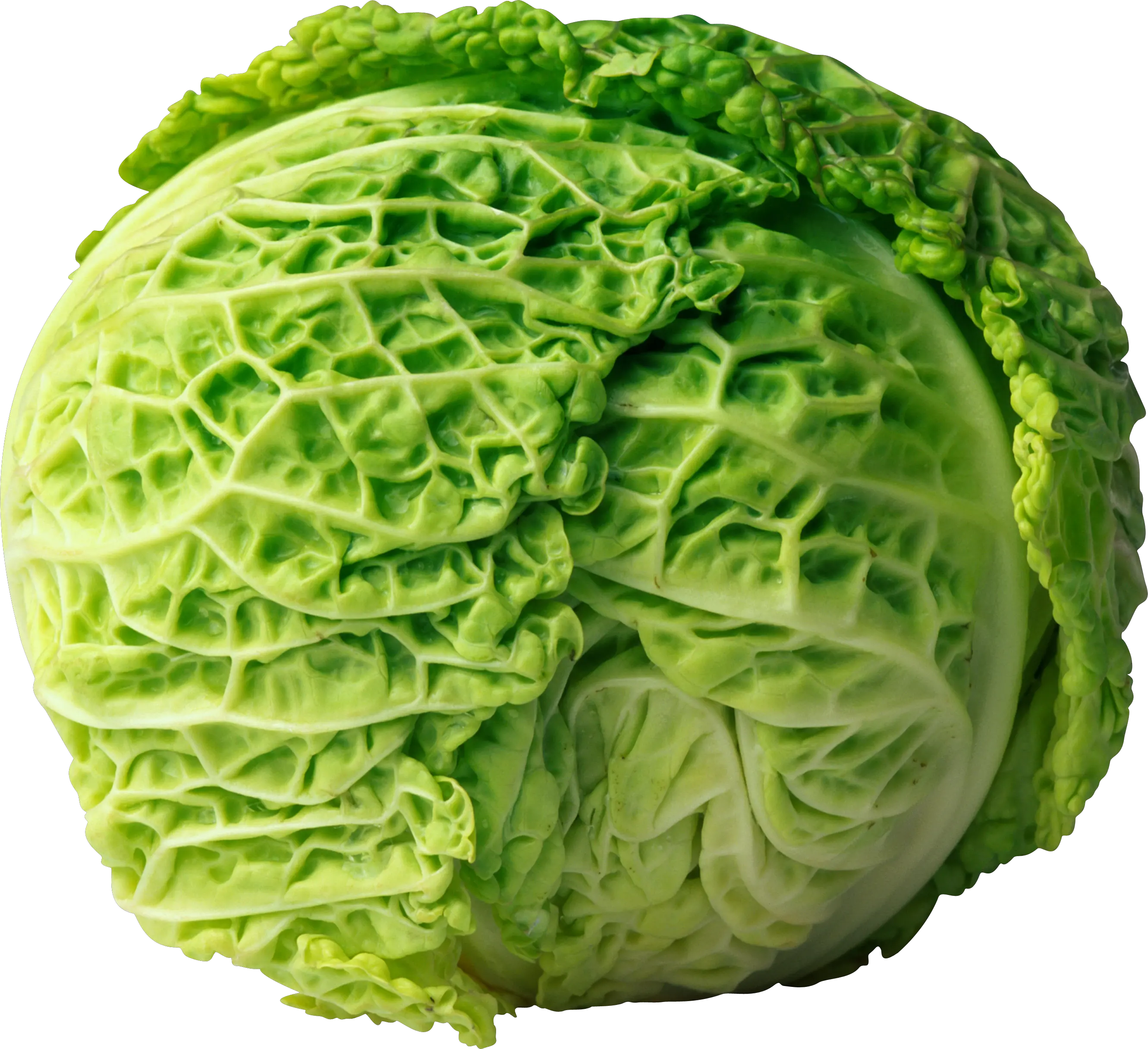 Cabbage PNG image