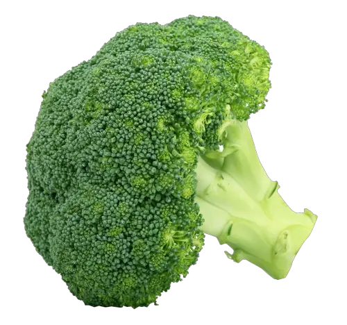 Broccoli PNG