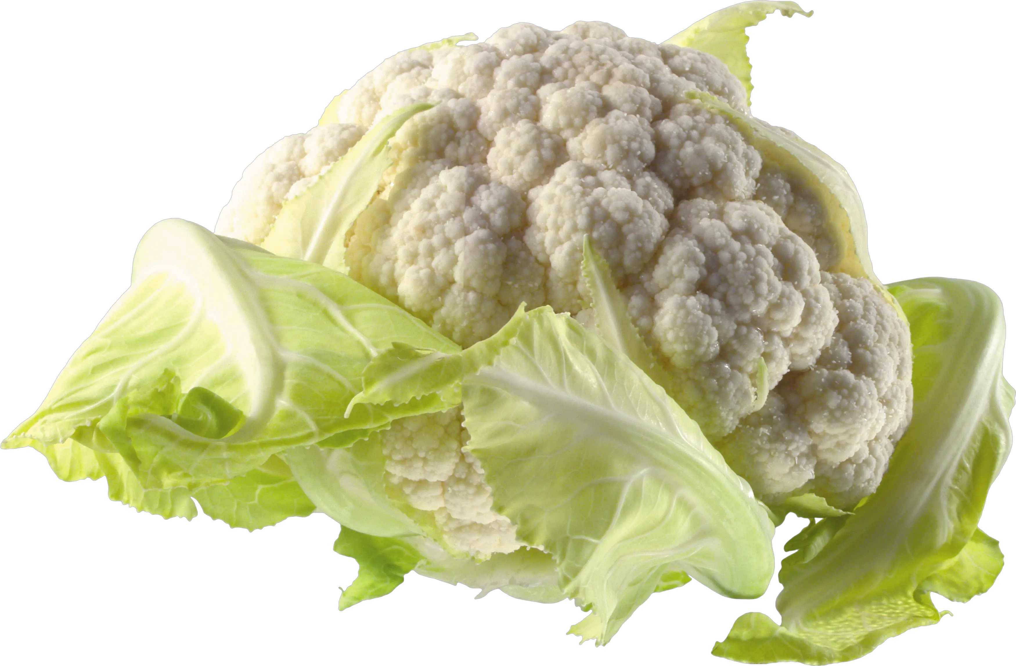 cauliflower PNG image