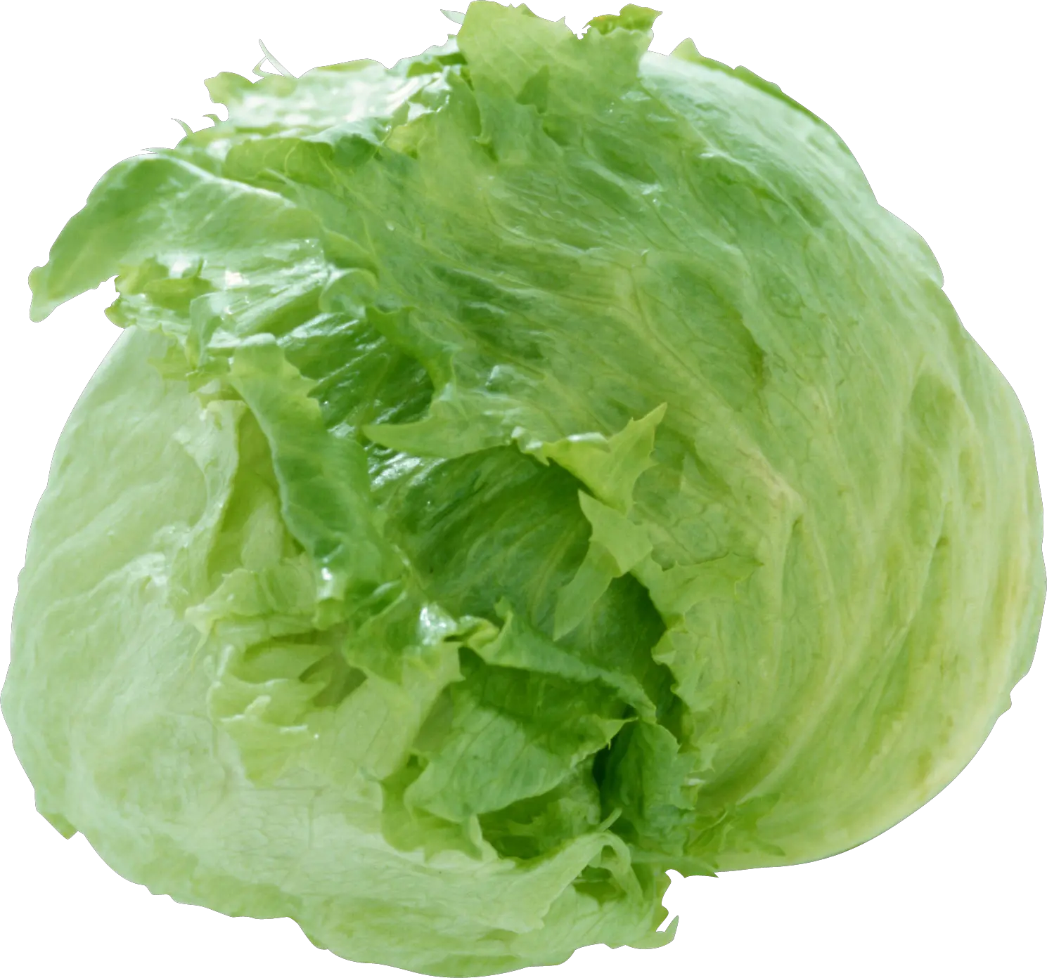 Cabbage PNG