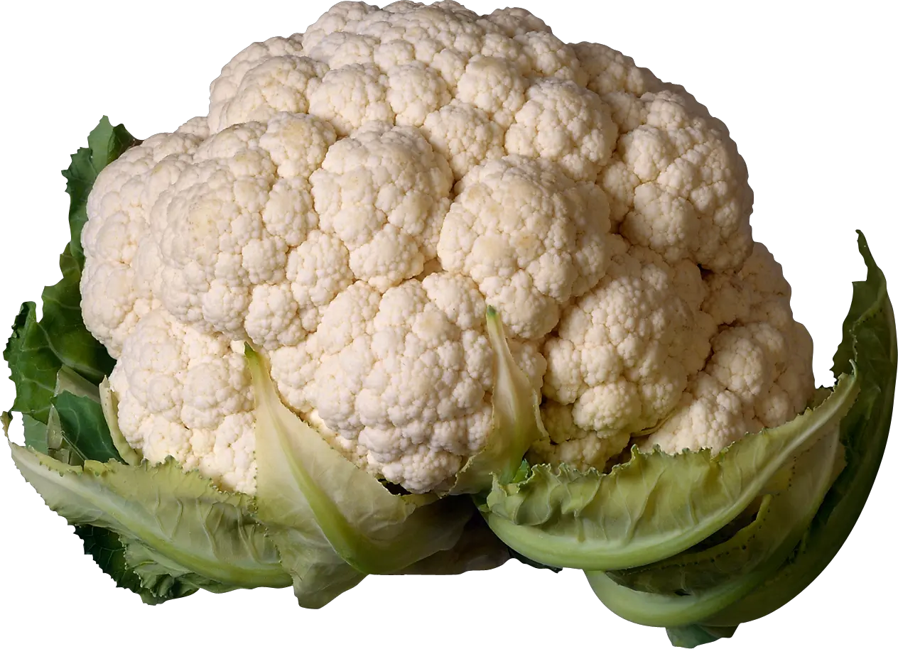 cauliflower PNG image