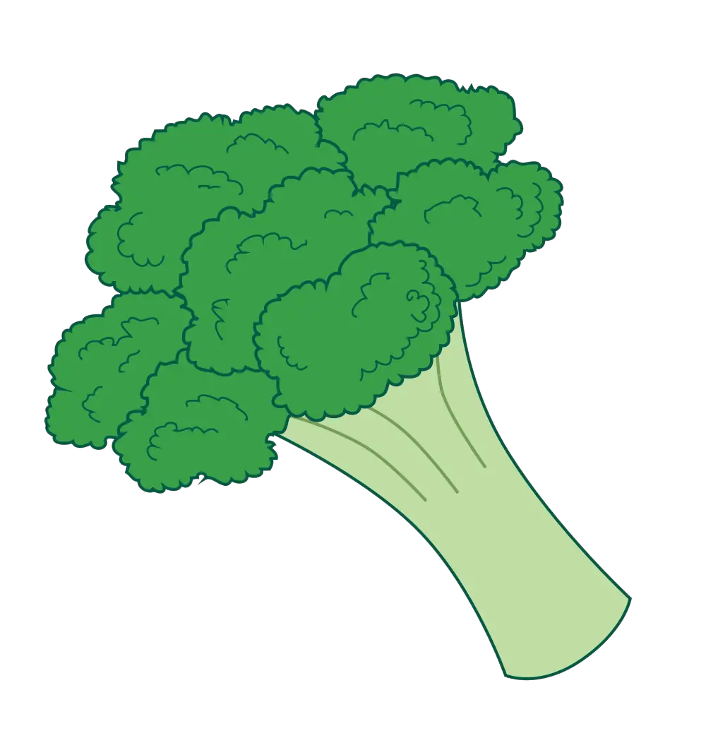 Broccoli PNG