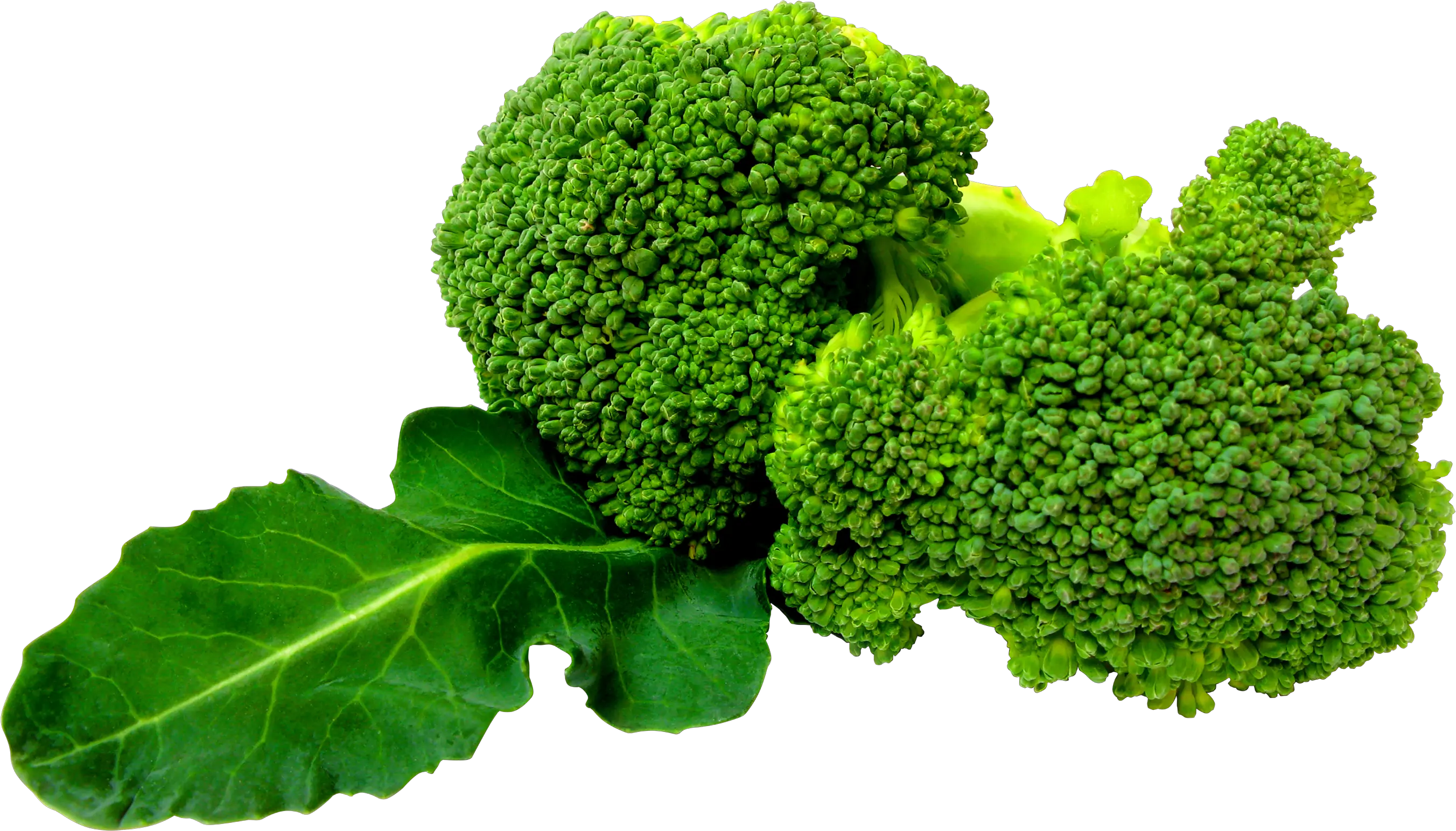 Green Broccoli PNG image