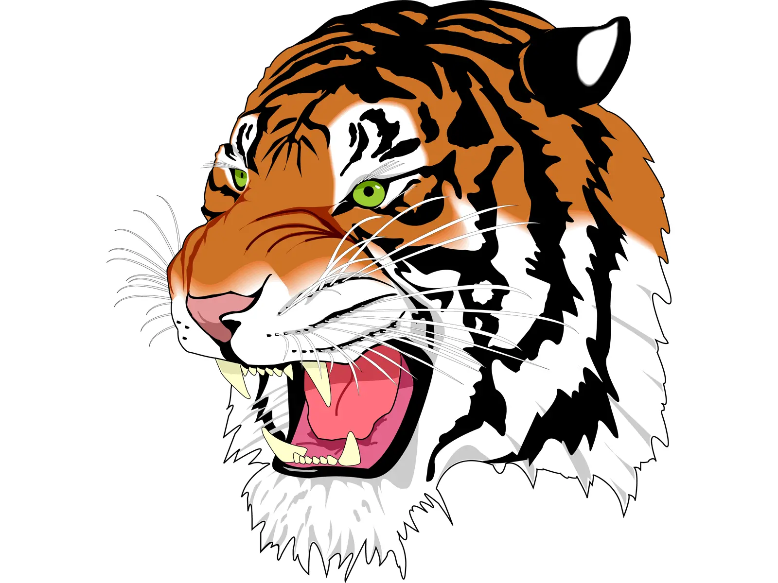 Tiger PNG image free download tigers