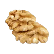 Walnut PNG