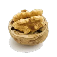 Walnut PNG