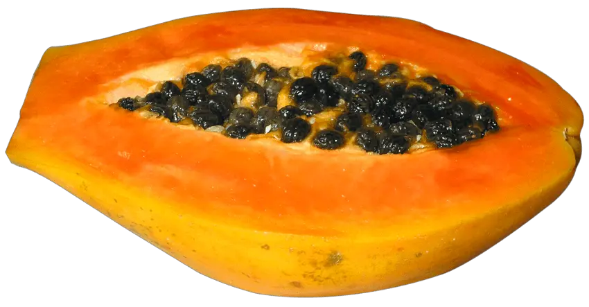 Papaya PNG